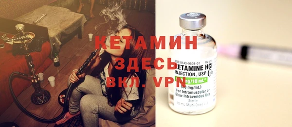 индика Белокуриха