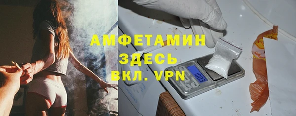 индика Белокуриха