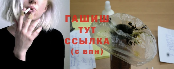 индика Белокуриха