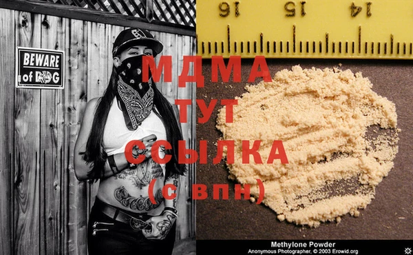 индика Белокуриха