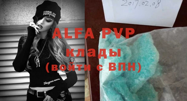 индика Белокуриха